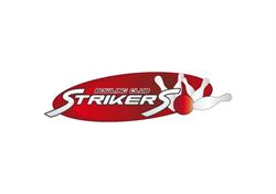 Bowling Strikers Club, Suceava