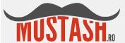 Magazin materiale pictura Mustash Bucureşti