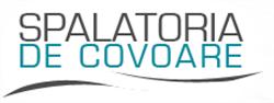 Spalatoria de covoare Profesional Targu-Mures, Budiu Mic