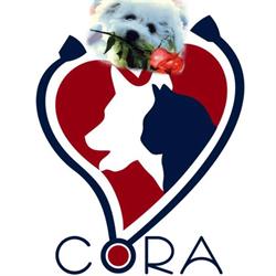 Cora vetconsult, Bucureşti