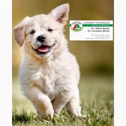 Family Vet Plus, Alba Iulia