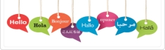 Reddo Traduceri Bistrita