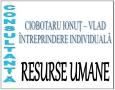 Ciobotaru Ionut- Vlad Intreprindere Individuala, Iaşi