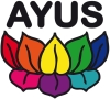 Ayus Grup, Bucureşti
