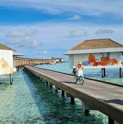 Emma Holidays SRL TULCEA, Tulcea
