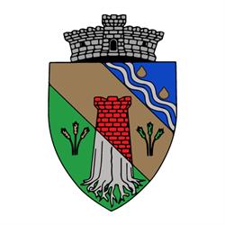 Primaria Dumbravita