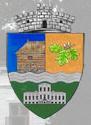 Primăria comunei Moara Vlăsiei