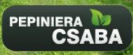 Pepiniera Csaba, Aiud