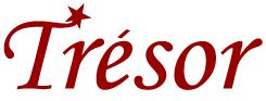 Salon Tresor, Suceava