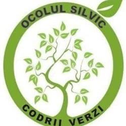 Codrii Verzi, Piteşti