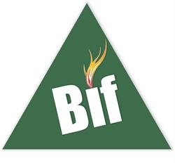 SC Bio Fuel Energy SRL, Zimnicea