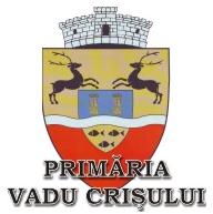 Primaria Vadu crisului, Vadu Crişului