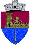 primaria berceni, Berceni