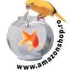 SC Amazonshop SRL, Satu Mare