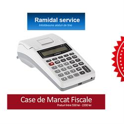 Ramidal service srl, Timişoara