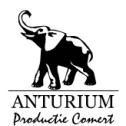 Anturium Productie Comert SRL, Bucureşti