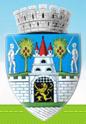 Primăria comunei Micula