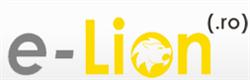 Electronic Lion SRL, Piteşti