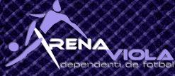 Arena Viola, Timişoara