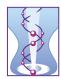 Biochem Diagnostic este, Bucureşti
