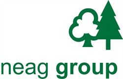 Neag Group, Timişoara