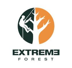 Extreme Forest, Bucureşti