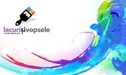 lacuri si vopsle, Cluj-Napoca
