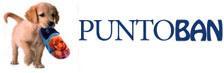 SC Puntoban SRL, Cluj-Napoca