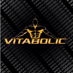 Vitabolic Galeria 1, Timişoara