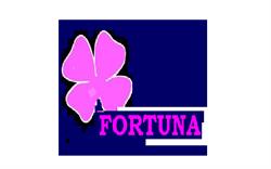 Scoala Postliceala Fortuna, Ploieşti