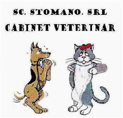 Stomano, Oradea