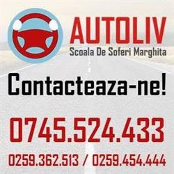 AUTOLIV S.R.L., Marghita