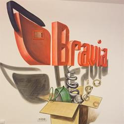 BRAVIA TOTAL S.R.L., Arad