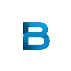 Baupro, Timişoara