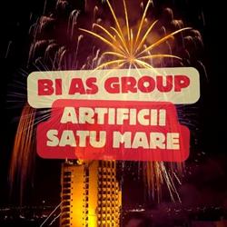BI AS GROUP S.R.L., Satu Mare