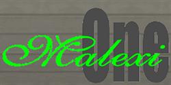 MALEXI ONE S.R.L., Bucureşti