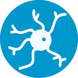 NEURONIC TRADE S.R.L., Timişoara