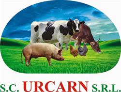 URCARN S.R.L., Câmpia Turzii