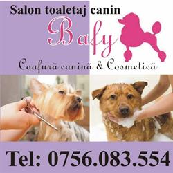 Sc Bafy Serv Srl, Arad