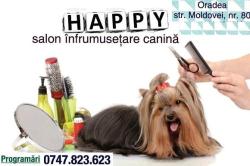 HAPPY DOG ORADEA, Oradea