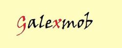 SC GALEXMOB SRL, Salonta
