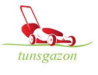 Var service - tunsgazon, Braşov