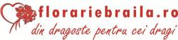 SC BOERMIR SRL, Brăila