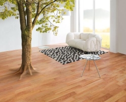 ARTISTIC FLOORS, Chiajna