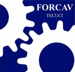 FORCAV SRL, Tecuci