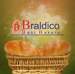 BRALDICO SRL, Tărlungeni
