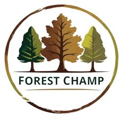 FOREST CHAMP SRL, Pecica