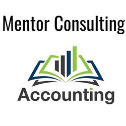MENTOR CONSULTING SRL, Rădăuţi