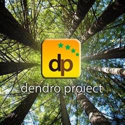 DENDRO PROIECT SRL, Bacău