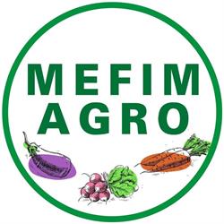 Mefim Agro SRL - Depozit central, Craiova